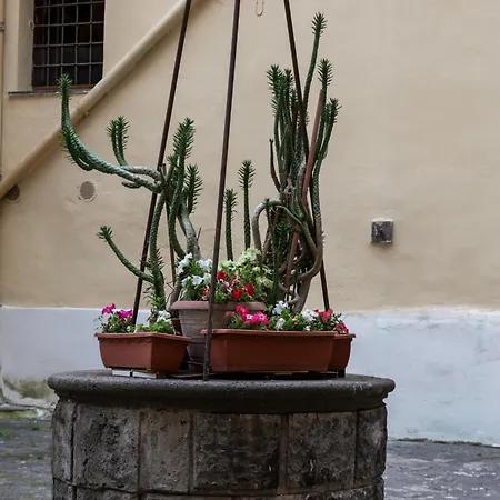 Vesuvio Plaza Bed and breakfast Ottaviano