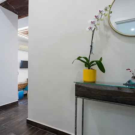 Bed and breakfast Vesuvio Plaza *